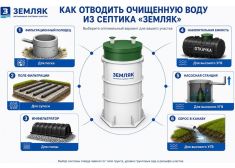 Зорде Рейн 3
